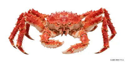 カニの種類と特徴