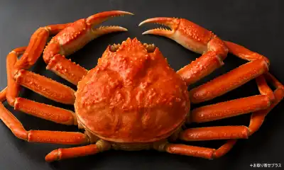 カニの種類と美味しい食べ方6選｜人気のお取り寄せ通販もご紹介！