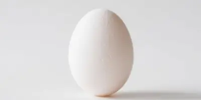 お取り寄せ卵とは？普通の卵との違い