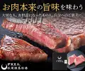 伊萬里牛松尾勝馬牧場