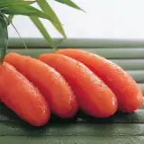 島本の明太子３味詰合わせ