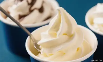 【2025年】お取り寄せで人気の「アイス・ジェラート」おすすめ3選