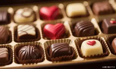 【2026年】バレンタインにおすすめのお取り寄せチョコスイーツ6選